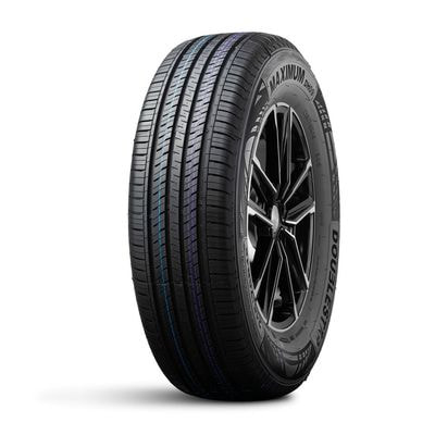 ���� Doublestar 205/65 R16 95H DOUBLESTAR DH09 ���� ���. (2PH02056516E000013) (����)