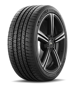 ���� Michelin 285/45 R22 114Y MICHELIN PILOT SPORT A/S 4 XL LR �������� ���. (685746) (����)
