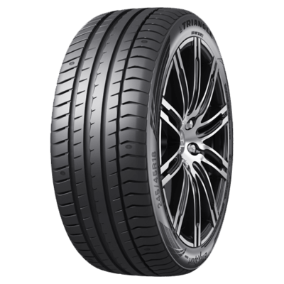 ���� Triangle 205/55 R16 91V91V TRIANGLE EFFEXSPORT TH202 �������� ���. (CTS293474) (����)